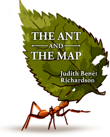 The Ant and the Map